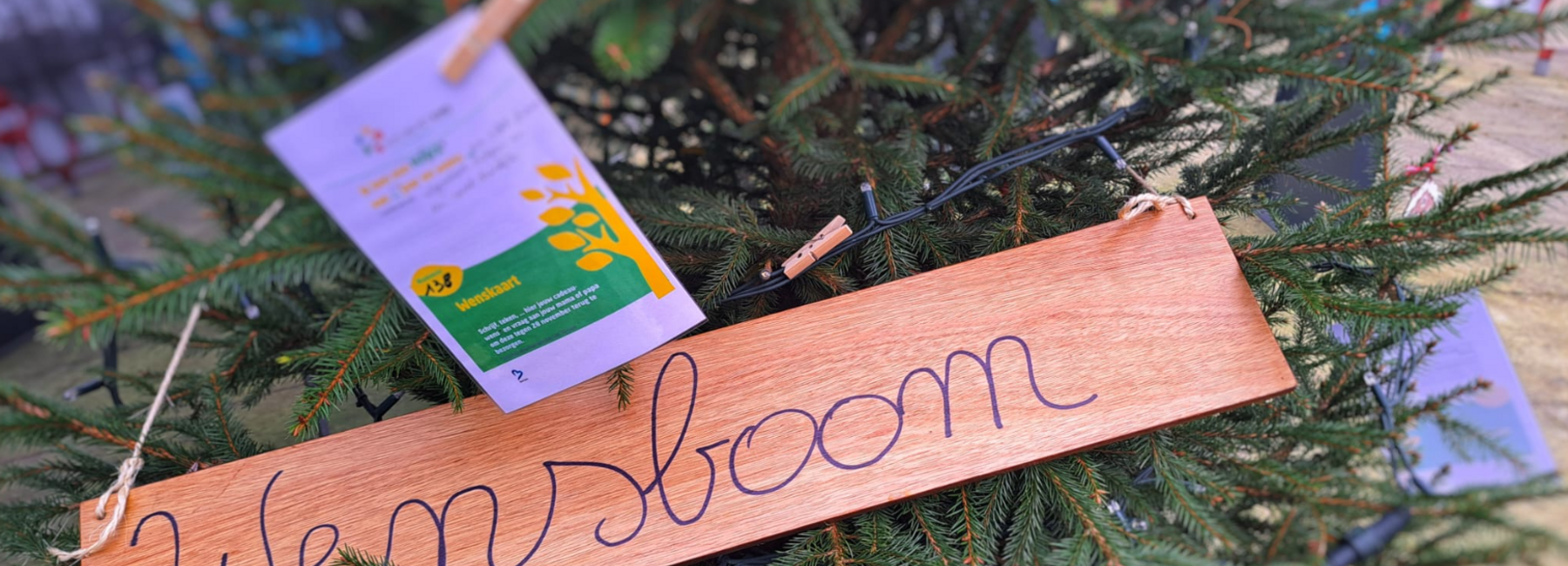 Wensboom met kaartjes en een houten bord met het woord “Wensboom”.