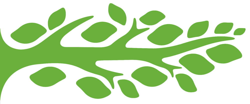 Groene gestileerde boomtak met bladeren, gebruikt als grafisch element van Huis van het Kind.