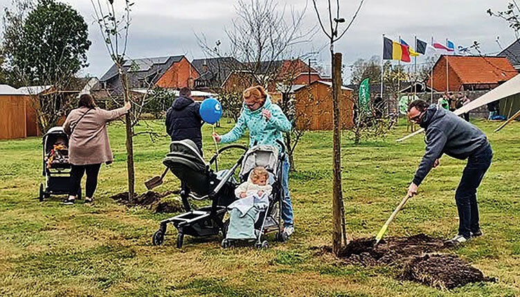 Gezinnen planten jonge bomen in het geboortebos van Berlare.