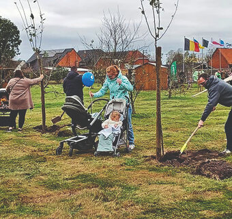Gezinnen planten jonge bomen in een geboortebos, met kinderwagens en kinderen op de achtergrond.