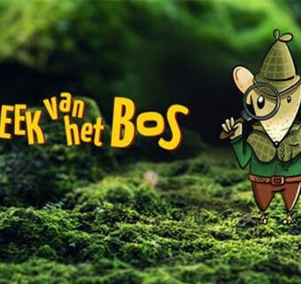 Image sourced from beleefberlare.be